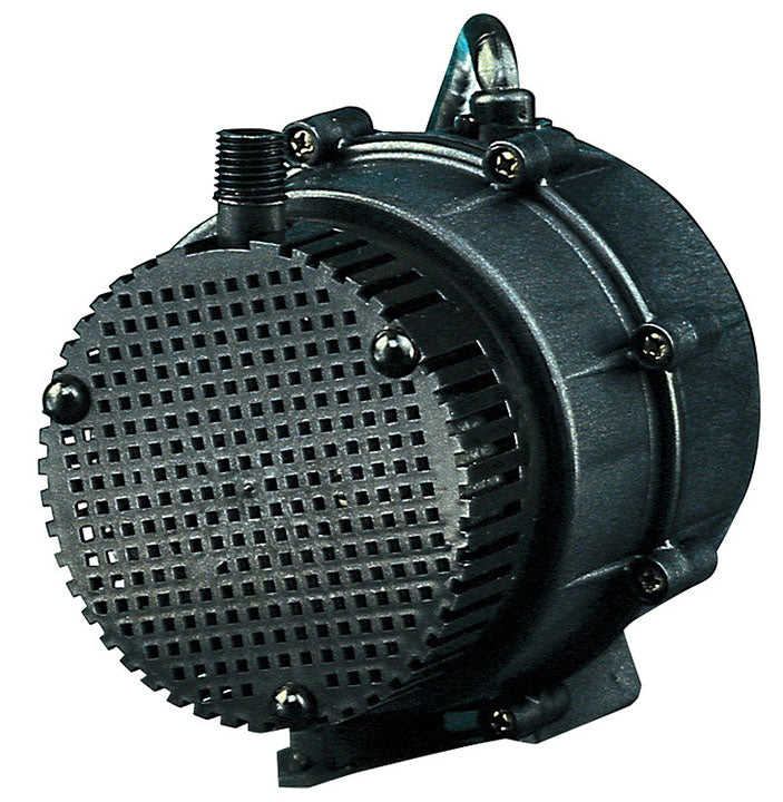 LITTLE GIANT PUMP 1-EAYS