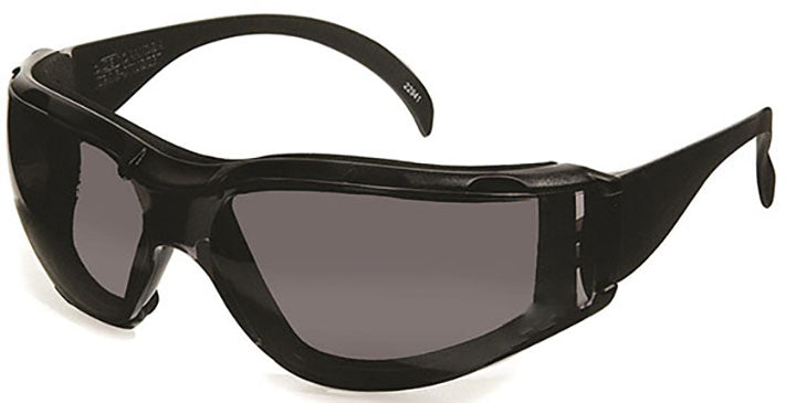 DENTEC CEETECDX SFTY GLASSES CLR/AF LENS