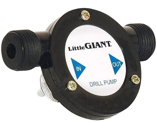 LITTLE GIANT VOLUTE