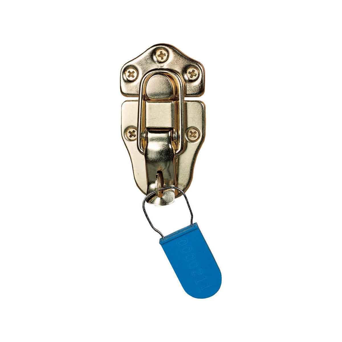 BRADY PLASTIC PADLCK SEALS GALV. 100/PK